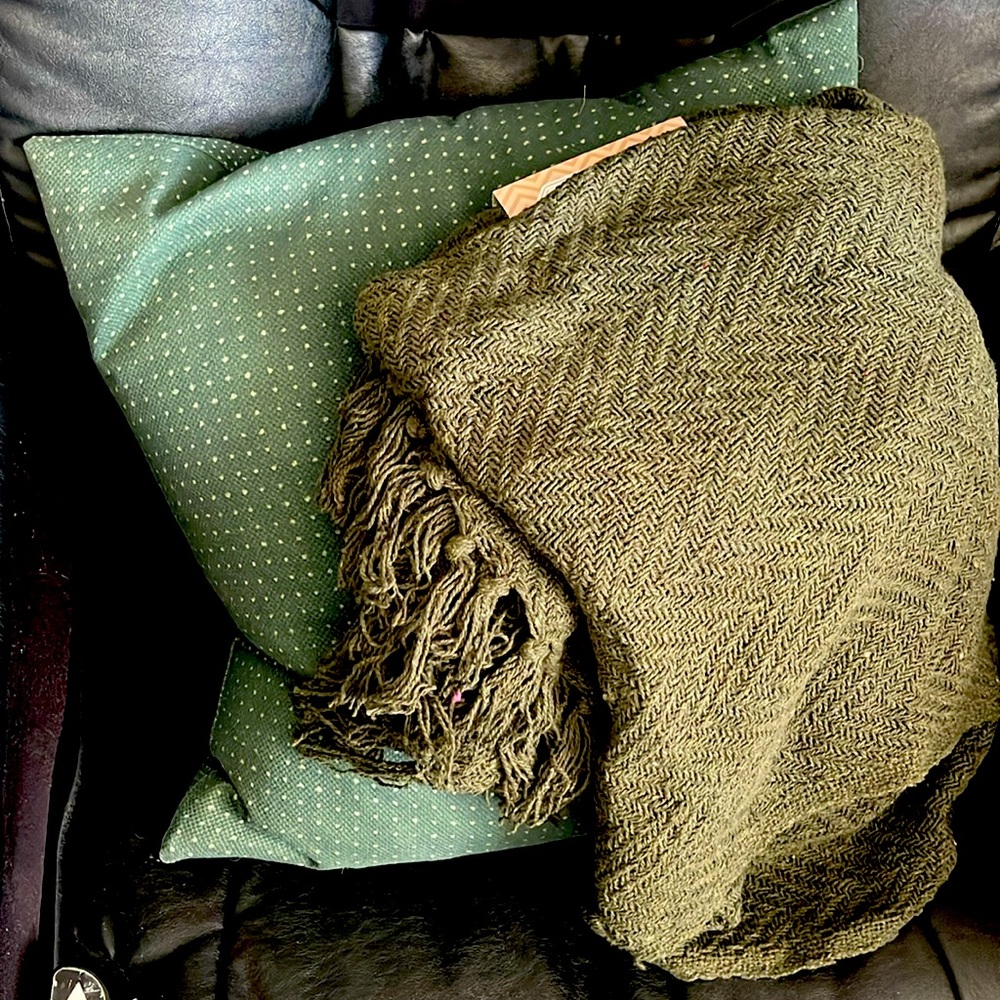 Decorative Pillow and Blanket Bundle